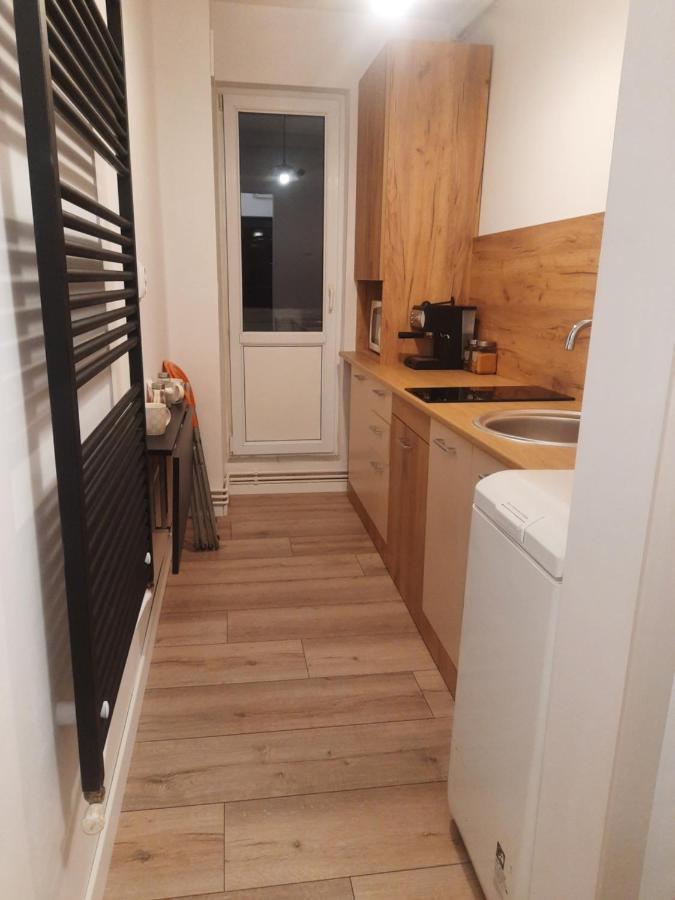 Lyra Apartment Сфынту-Георге Экстерьер фото